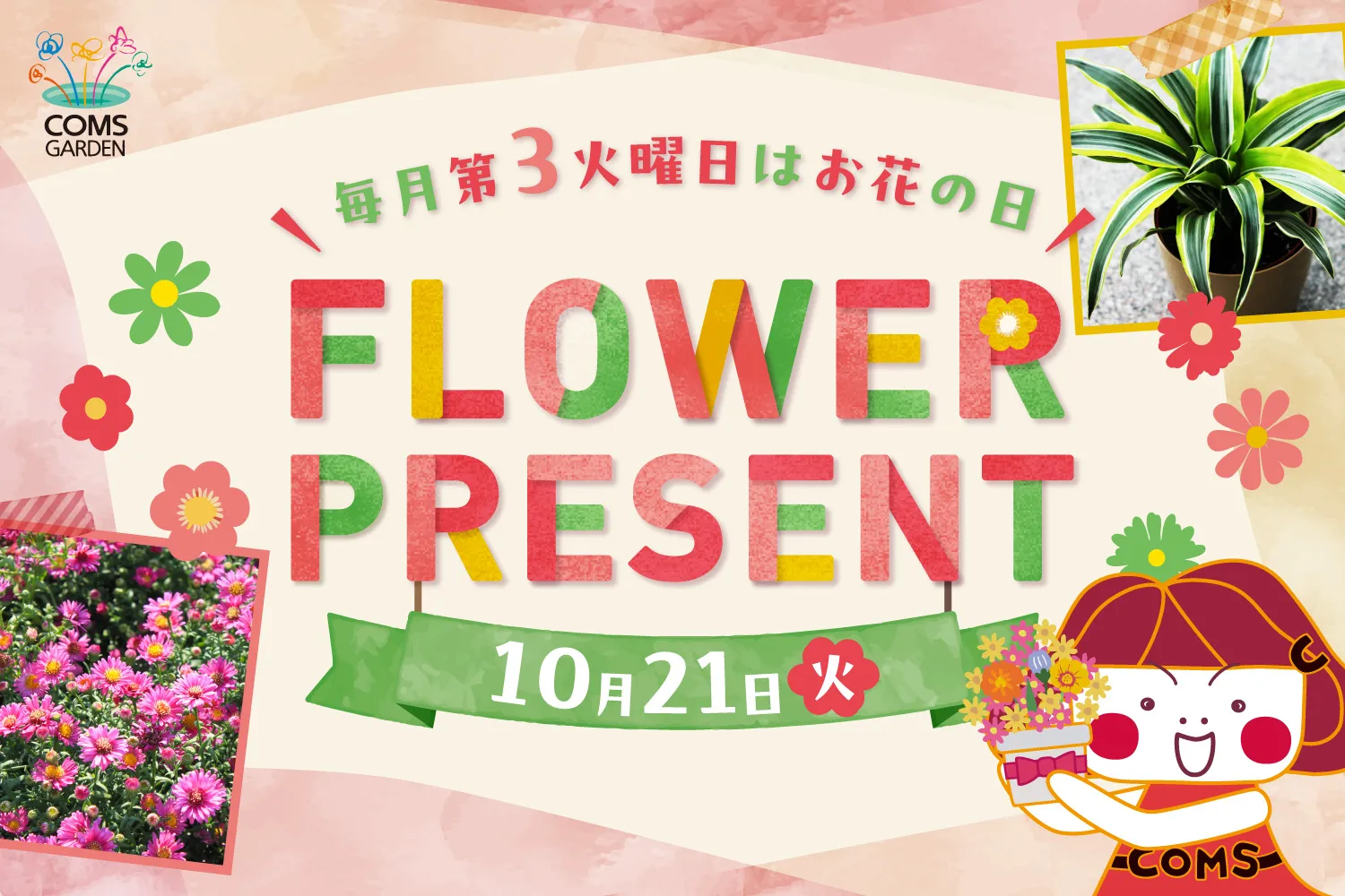 關於舉辦“COMS GARDEN花卉禮物活動(10月)”的介紹